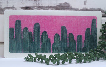 Plants on Pink - Echeveria Cacti