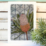 Maxi Woodblock - Banksia Hookeriana
