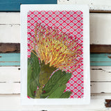 Maxi Woodblock - Pin Cushion Protea