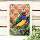 Maxi Woodblock - Gouldian Finch