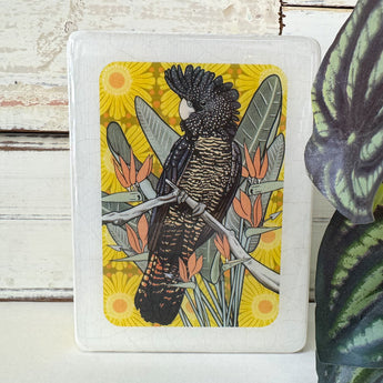 Mini Woodblock - Red Tailed Black Cockatoo