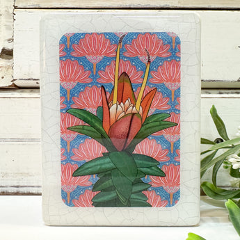 Mini Woodblock - Lemon Scented Darwinia