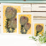 Medi Woodblock - Teasel Banksia
