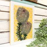 Maxi Woodblock - Teasel Banksia