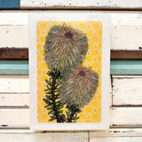 Medi Woodblock - Teasel Banksia