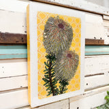 Medi Woodblock - Teasel Banksia