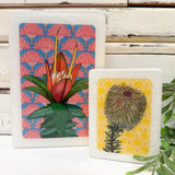 Mini Woodblock - Teasel Banksia