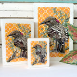 Maxi Woodblock - Western Bowerbird