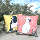 Butcher Bird 60cm Cushion