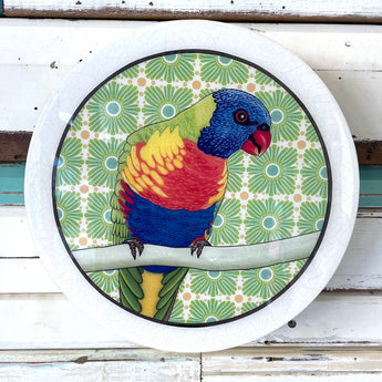 Meg's Rainbow Lorikeet - Roundy