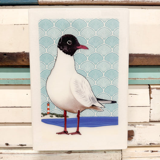 XL Woodblock - Black Headed Gull