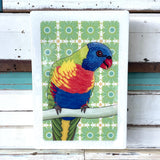 Meg's Rainbow Lorikeet - Maxi