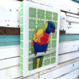 Meg's Rainbow Lorikeet - Maxi