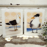 Mini Woodblock - Pacific Gull