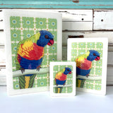 Meg's Rainbow Lorikeet - Maxi