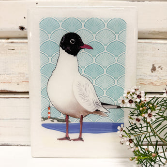 Medi Woodblock - Black Headed Gull