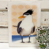 Medi Woodblock - Crested Tern