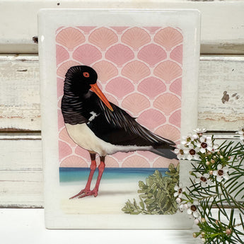 Medi Woodblock - Pied Oystercatcher