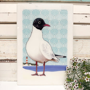 Maxi Woodblock - Black Headed Gull