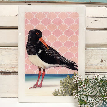 Maxi Woodblock - Pied Oystercatcher