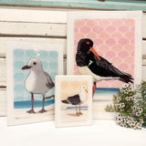 Maxi Woodblock - Pied Oystercatcher