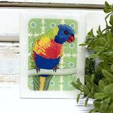 Meg's Rainbow Lorikeet - Mini