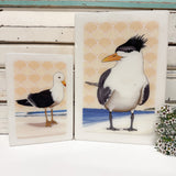 Maxi Woodblock - Crested Tern