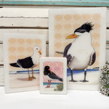 Mini Woodblock - Pied Oystercatcher