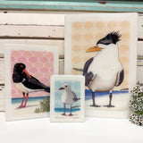 Medi Woodblock - Pied Oystercatcher