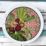 Meg's Genoa Fig - Roundy