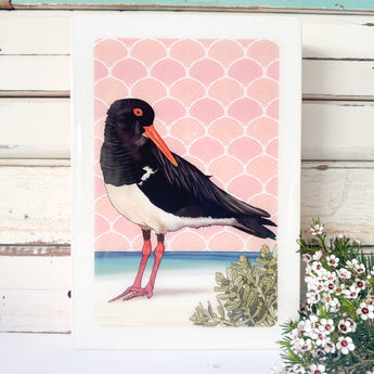 Maxi Woodblock - Pied Oystercatcher