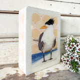 Mini Woodblock - Crested Tern