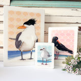 Medi Woodblock - Pied Oystercatcher