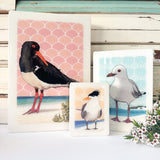 Maxi Woodblock - Pied Oystercatcher