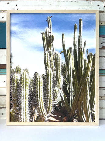 Desert Coast Art Print