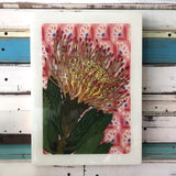 XL Woodblock - Pin Cushion Protea