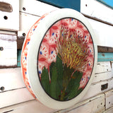 Roundy Woodblock - Pin Cushion Protea